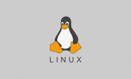 Linux怎么防止误删除